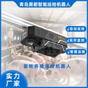 豬群監測巡檢機器人自動(dòng)生成健康報告智能畜牧養豬巡檢機器人