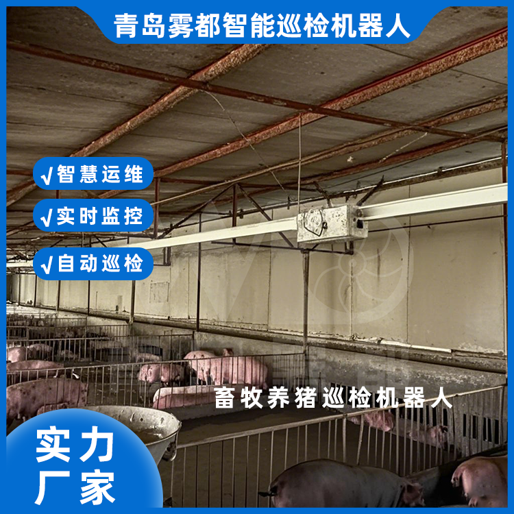 畜牧養(yǎng)殖巡檢機(jī)器人多場(chǎng)景應(yīng)用反饋巡檢機(jī)器人定制廠