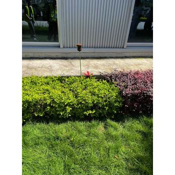 PE暗管道漏水探測(cè)暗埋球墨管道漏水檢測(cè)直供水管道漏水查漏
