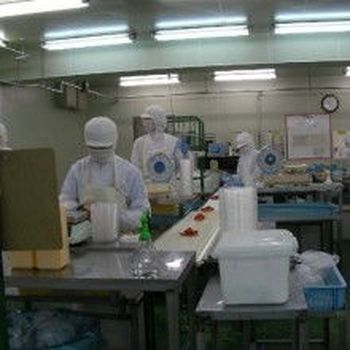清遠出國勞務工廠普工逆襲，澳洲高薪崗位等你?