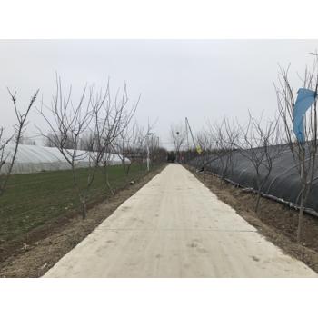 云南迪慶維西傈僳族自治出國勞務(wù)高薪工作