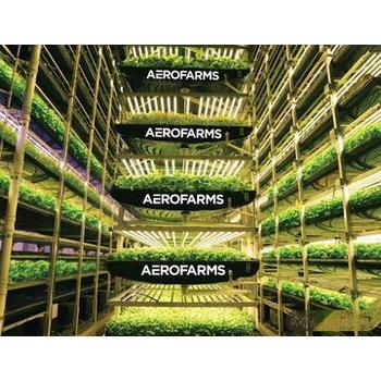 河北石家莊深澤出國勞務(wù)高薪工作