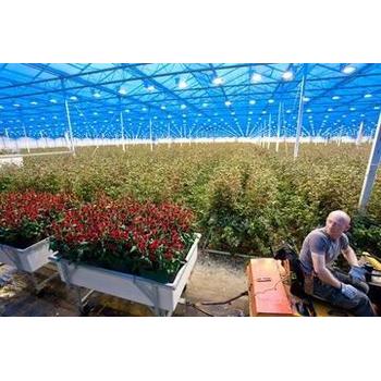 湖南衡陽衡陽出國打工哪家好意大利