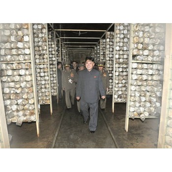 湖南湘西保靖出國打工哪個國家掙得多