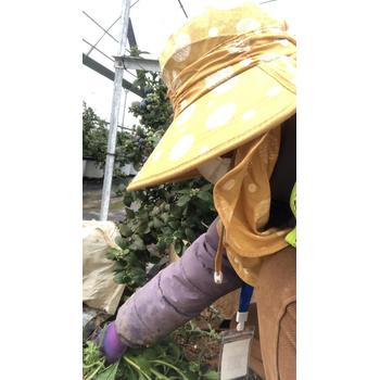 廣東中山大涌海外工作高薪工作