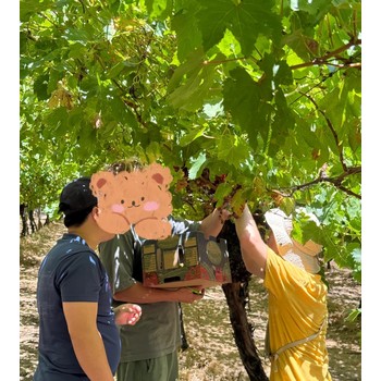 出國打工海外工作打工追富路，出國勞務，40萬年薪不迷路。