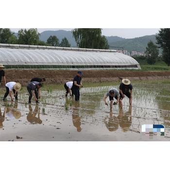 出國打工海外工作出國勞務(wù)，讓40萬年薪成為生活的標配。
