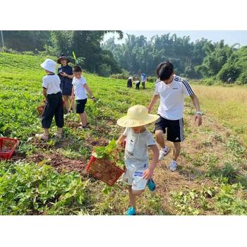 出國打工海外工作打工求高酬，出國勞務(wù)，40萬年薪解千愁。