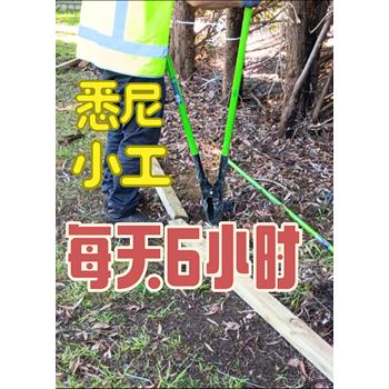 河北張家口陽原勞務輸出哪個國家賺得多