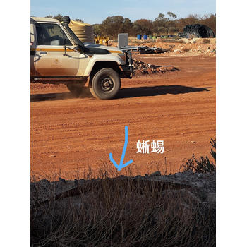 湖南永州新田出國勞務(wù)英國正規(guī)工簽