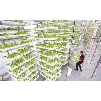 湖北十堰丹江口海外工作哪家好