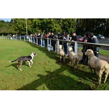 浙江寧波慈溪海外勞務(wù)簽證怎么辦