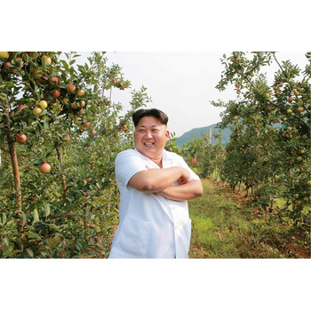 湖南邵陽雙清區(qū)出國打工新西蘭哪個國家掙得多