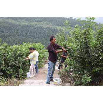 湖北荊門東寶區(qū)勞務派遣哪個國家賺得多