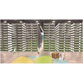 河南開封金明區(qū)海外工作美國正規(guī)工簽