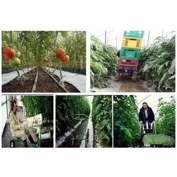 河北滄州河間出國打工一年可以賺到多少錢