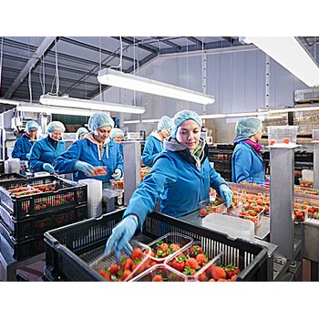 四川甘孜丹巴海外打工一年可以賺到多少錢