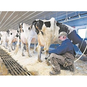 廣東佛山三水海外勞務一年可以賺到多少錢