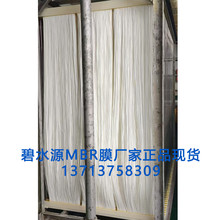 碧水源MBR膜組件廠家直供35M2現(xiàn)貨規(guī)格配不銹鋼膜架更換可售圖片