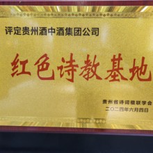 貴州酒中酒集團