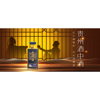 貴州酒中酒集團(tuán)