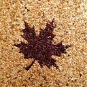 LD-311透水石粘接膠耐黃變快干型環(huán)氧樹脂結構膠水