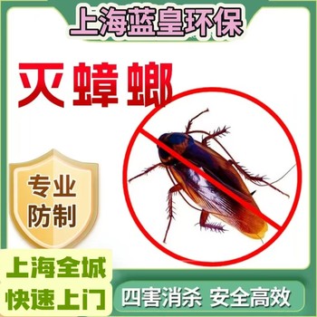 上門滅老鼠酒店飯店家庭滅蟲一次性滅干凈團隊