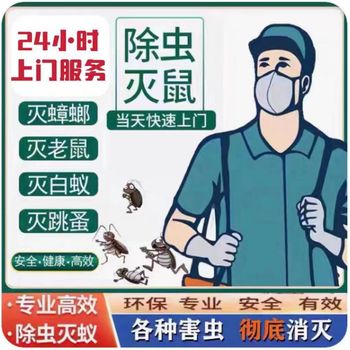 松江區(qū)工廠除蟲滅鼠除蟑螂飯店廚房倉庫殺蟲除四害除鼠安全環(huán)保