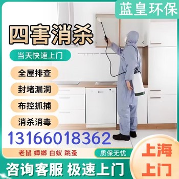上海白蟻怎么除滅白蟻公司幫您消滅白蟻