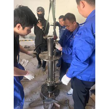 遼陽(yáng)供綠牌新型0區(qū)防爆化工液下泵替代長(zhǎng)軸液下泵
