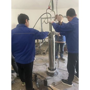 湖州供應(yīng)綠牌化工液下泵YQYB防爆化工屏蔽泵無(wú)泄漏