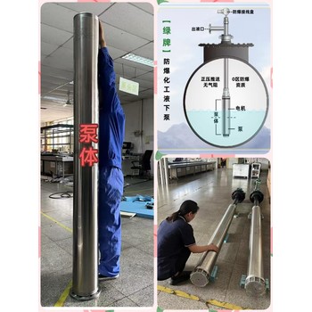 菏澤供應(yīng)綠牌防爆液下泵5HP化工潛液泵質(zhì)保5年