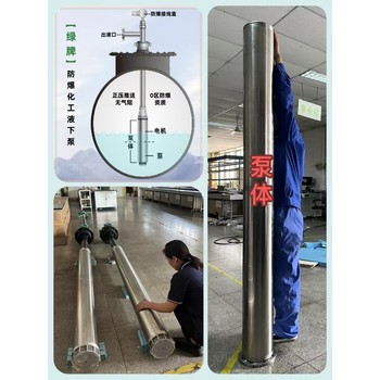 廈門供應(yīng)綠牌20HP防爆液下泵YQYB高揚(yáng)程化工潛泵