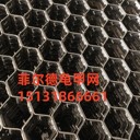 石化龜甲網(wǎng)-內扣龜甲網(wǎng)-鋼廠(chǎng)龜甲網(wǎng)-龜甲網(wǎng)廠(chǎng)家