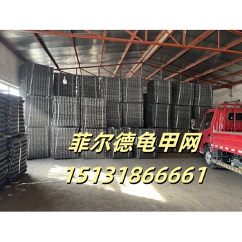 石化龜甲網(wǎng)-內(nèi)扣龜甲網(wǎng)-龜甲網(wǎng)規(guī)格尺寸-龜甲網(wǎng)廠家
