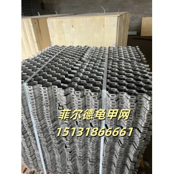 石化龜甲網(wǎng)-內(nèi)扣龜甲網(wǎng)-龜甲網(wǎng)規(guī)格尺寸-龜甲網(wǎng)廠家