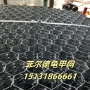 碳鋼龜甲網(wǎng)鋼廠龜甲網(wǎng)窯爐龜甲網(wǎng)電力耐磨管道襯里