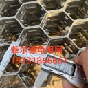石化龜甲網-內扣龜甲網-龜甲網廠家-安平龜甲網現貨供應