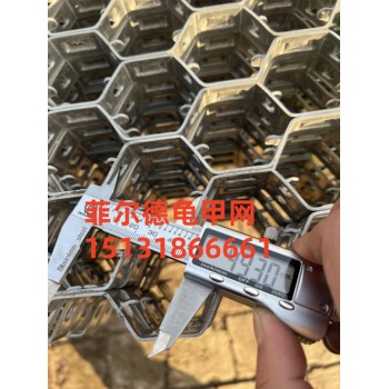 石化龜甲網(wǎng)-內(nèi)扣龜甲網(wǎng)-龜甲網(wǎng)規(guī)格尺寸-龜甲網(wǎng)廠家