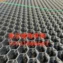 石化龜甲網(wǎng)-內(nèi)扣龜甲網(wǎng)-不銹鋼龜甲網(wǎng)-龜甲網(wǎng)廠家