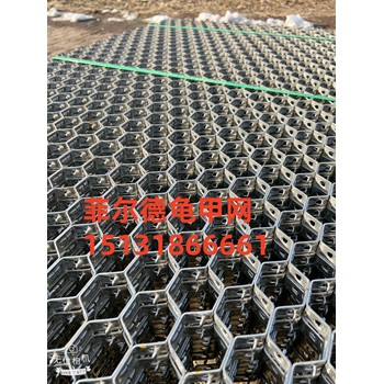 石化龜甲網(wǎng)-內(nèi)扣龜甲網(wǎng)-龜甲網(wǎng)規(guī)格尺寸-龜甲網(wǎng)廠家