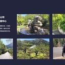 昌平區(qū)園林綠化養(yǎng)護(hù)、綠化施工、樹枝修剪、景觀造型等