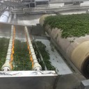 微波殺青干燥機鶴峰