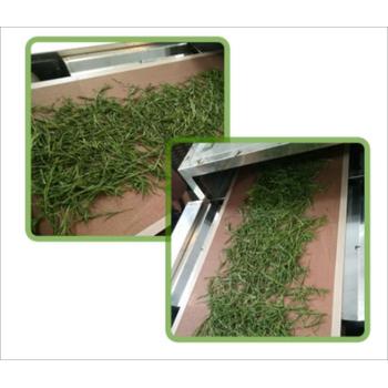 茶葉微波殺青機(jī)十堰