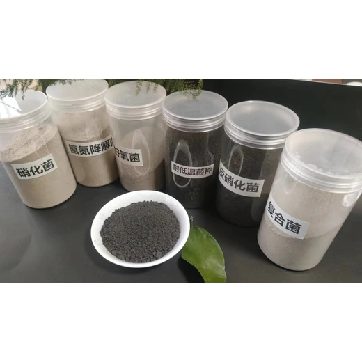 硝化菌種污水處理用快速降解氨氮好氧池生化系統(tǒng)啟動與維護(hù)