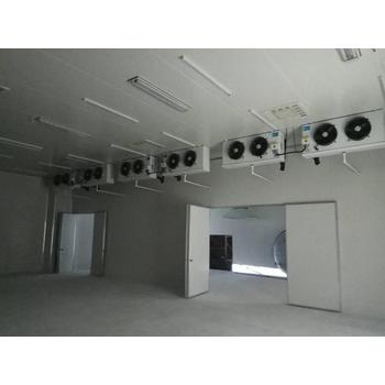 汕頭濠江區(qū)大型冷庫(kù)冷凍庫(kù)回收冷凍設(shè)備回收廠家