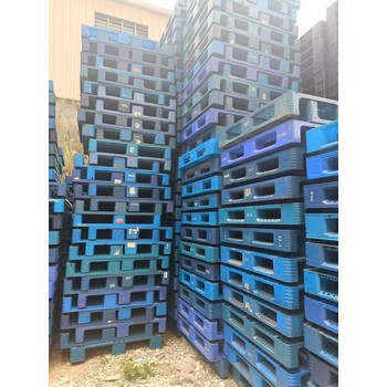 福建長(zhǎng)期回收塑料托盤二手塑膠卡板出售木托盤木棧板廠家