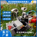 果蔬采摘巡檢機(jī)器人果實(shí)熟度判輕柔采摘葉片健康查環(huán)境參數(shù)測