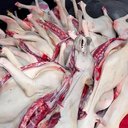 14一斤狗肉批發(fā)冷鏈配送到店