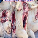 土狗狗肉5斤起發(fā)140元批發(fā)15一斤